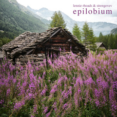 Epilobium