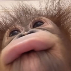 A DÍAS FRÍOS, PITOS CALIENTES