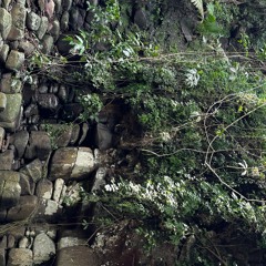 Pachamama está de fiesta