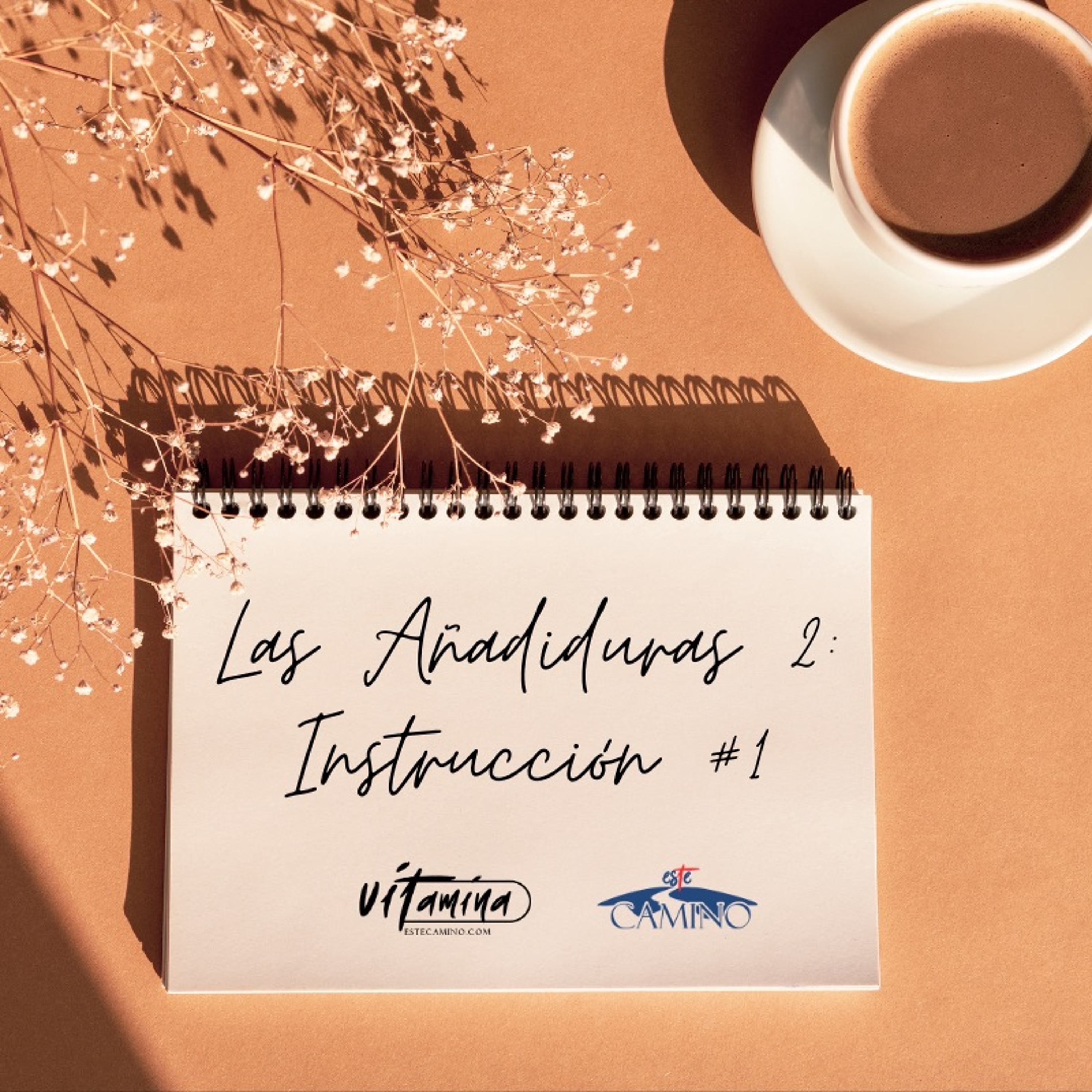 Las Añadiduras 2: Instrucción #1: No se preocupe, Emilia episode artwork