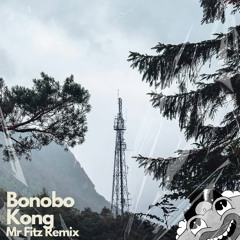 Kong - Bonobo (Mr Fitz Remix) Free Download