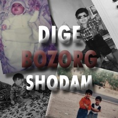 DIGE BOZORG SHODAM