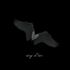 Wings Of Love (Prod. Leezythegifted)