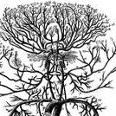 roots=veinspitchup