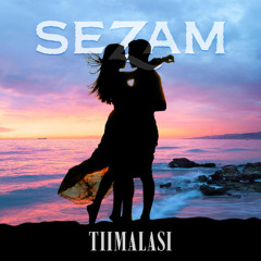 Tiimalasi