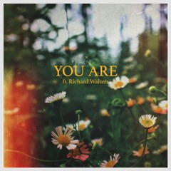 Frameworks - You Are Ft Richard Walters