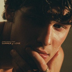 Shawn Mendes, Tainy - Summer Of Love (Spranxx Remix)