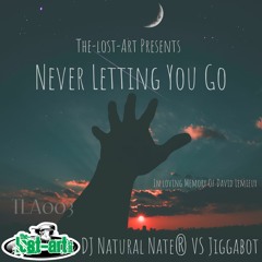 Never Letting You Go (In Loving Memory Of David Lemieux )- DJ Natural Nate VS Jiggabot
