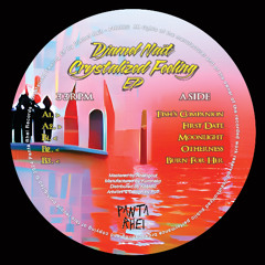 Djamel Naït - Crystalized Feeling EP - PRR002