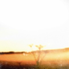 Suna Elvira - Whispering grassfields