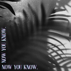 Now U Know ft. Elleos