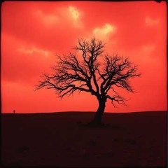 Ashes over Eden