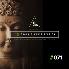 Zen Organic House #071 - Melodies for the Mind | 🛋️ Deep Focus dj mix session 慢摇