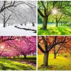 Seasons