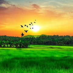 رنموا للرب باركوا اسمه - خدمة السماء على الأرض - مصر