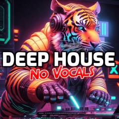Deep House No Vocals | Clubland Oldskool Classic Sounds Hard Dark Synthwave Dance Music EDM