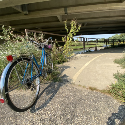 KEEP REAPING by M.S.🤒Sunday