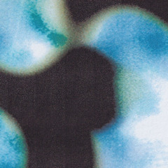 Animix One Hundred & Seventy Nine: Agonis