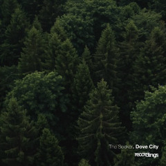 Dove City - The Seeker (Original Vocal Mix) | Stripped Recordings