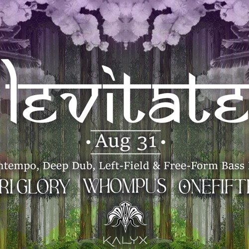 Levitate Mix @ Kalyx Club by ledriz.