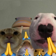 study but sped ⚡️