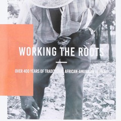 Download PDF Working The Roots: Over 400 Years of Traditional African American