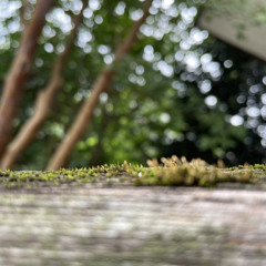 1.からだの声に耳をすます