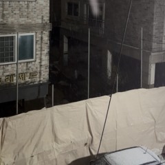 2025 첫눈