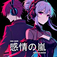 感情の嵐 (kanjō no arashi)