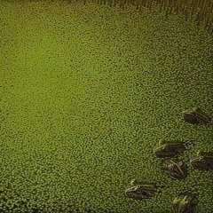 волшебная страна личен