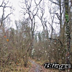 sylphmane - niles chant $prod. creek indigo