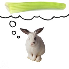 ps[γ]cho (prod. jenixO)