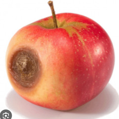 Bad Apple
