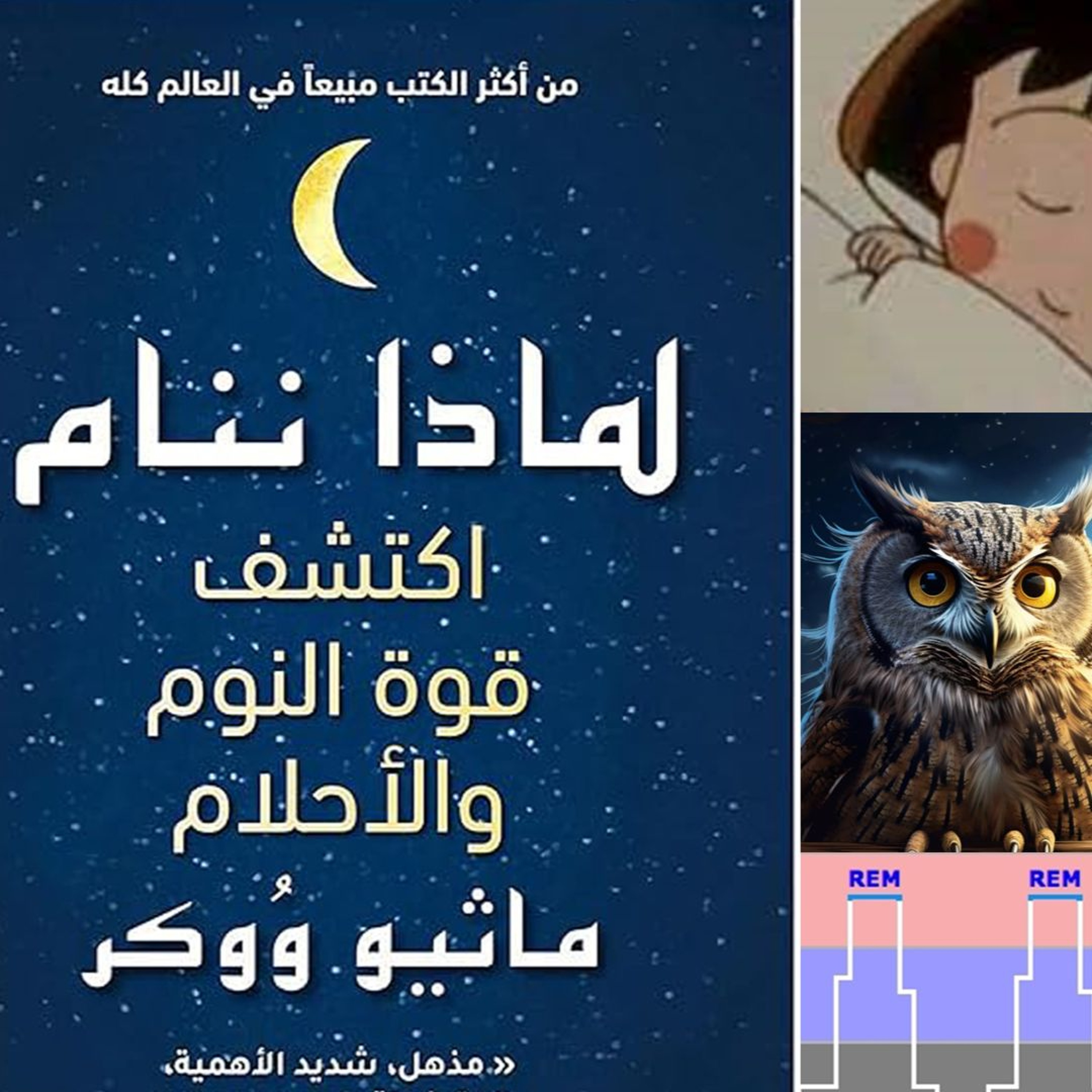 لماذا يجب أن تنام 8 ساعات يوميا ؟ بودكاست إبحار episode artwork