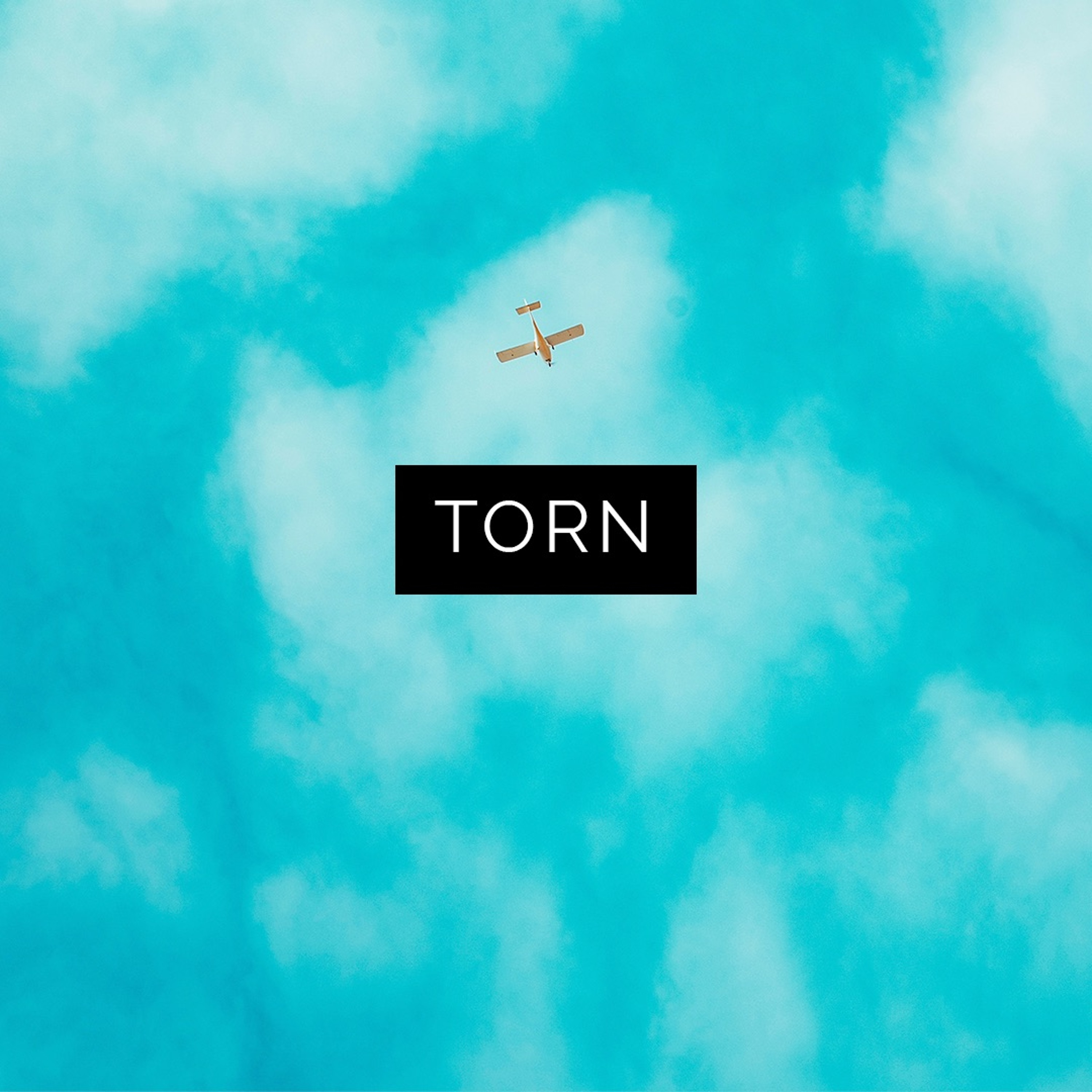 Torn episode artwork