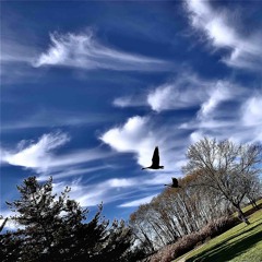 The Bold Hard Facts of Life v.new 1.m4a