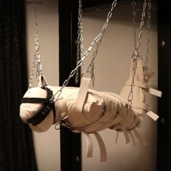 генг бенг генг бенг генг бенг генг бенг