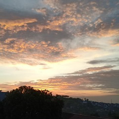 [Cover/tried to sing] Shout Baby - Ryokuoushoku Shakai