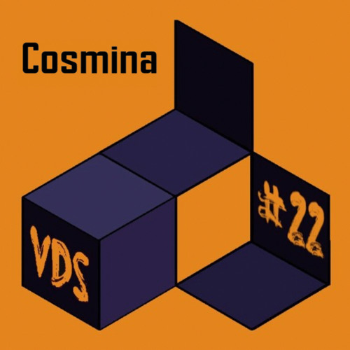 VDS Podcast #22 • Cosmina