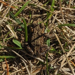 Zwei Kreise + m50 @ etc 2025.10.10