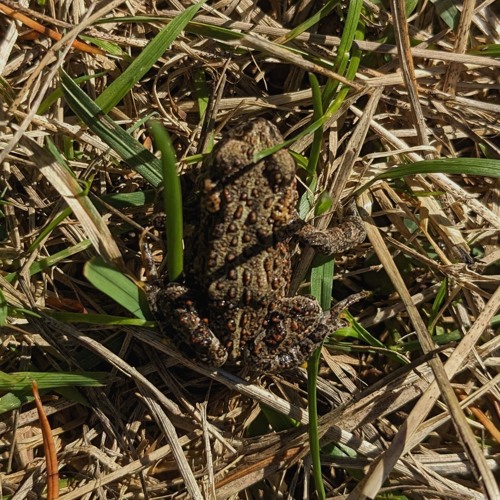 Zwei Kreise + m50 @ etc 2025.10.10