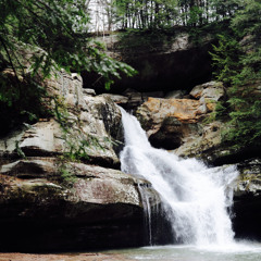 The Fall (Acoustic Demo)