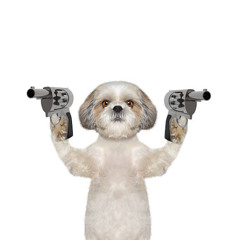 ☆thedoghasagun☆