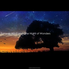 Chapter 3 - Summer Wind and One Night of Wonders Mix