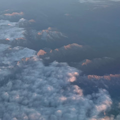 Delikatessen b2b Crash D INTERSTICE