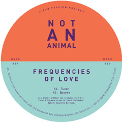 Naar21 - Frequencies of Love - Pegasus - Fantastic Man Remix (Clip)