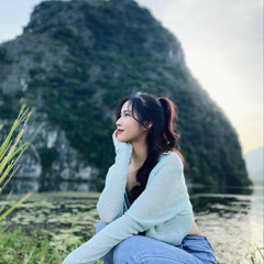 Mixset Em chi la nguoi thay the