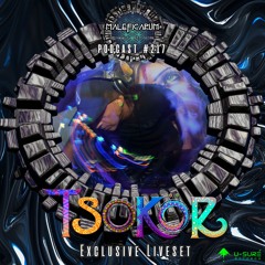 Exclusive Podcast #217 | with TSOKÖR (U-Sur Records)