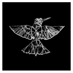 LA DIVINA / AUGUST - UNCODED RADIO show