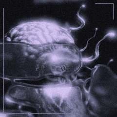 Mind Fog